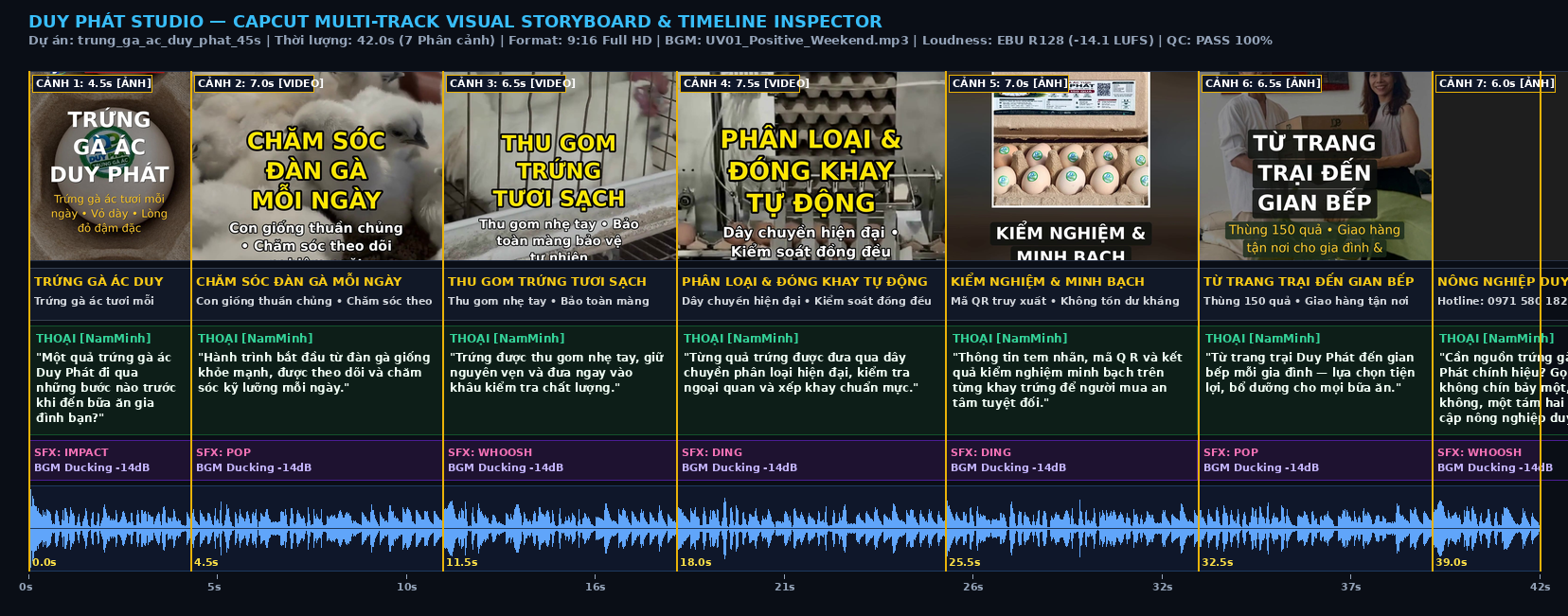 5-Track Visual Timeline